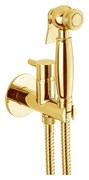 Гигиенический душ встраиваемый Webert EL870302010 золото