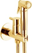 Гигиенический душ встраиваемый Webert EL870301010 золото
