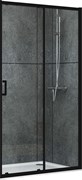 Душевая дверь ABBER Schwarzer Diamant AG30120B