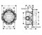 Душевая система скрытого монтажа Hansgrohe Logis 71605+ 26524 хром - фото 1575663